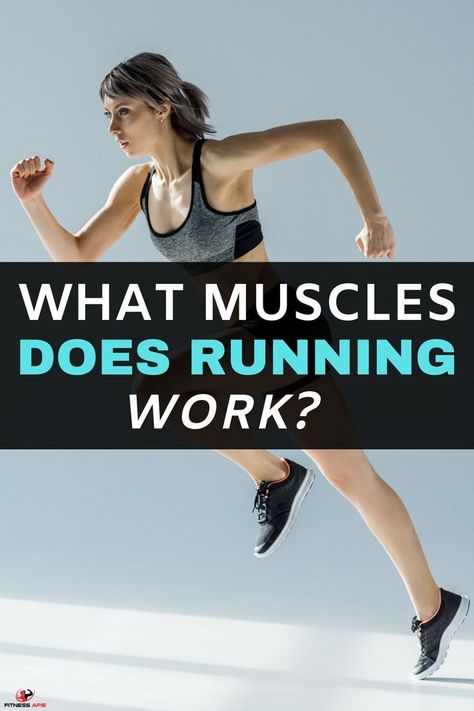 Running Benefits, Cardiovascular Exercises, Running Exercises, Muscles Anatomy, Running Muscles, Gastrocnemius Muscle, Muscles Workout, Tight Hamstrings, Benefits Of Running