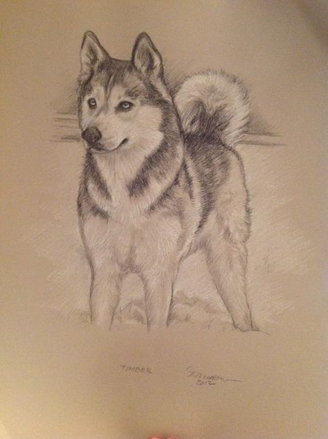 Siberian Husky Drawing Easy, Husky Pencil Drawing, Husky Sketch Easy, Husky Painting Easy, Husky Drawing Sketches, Dog Drawing Husky, Husky Drawing Easy, Husky Dog Drawing, Siberian Husky Drawing