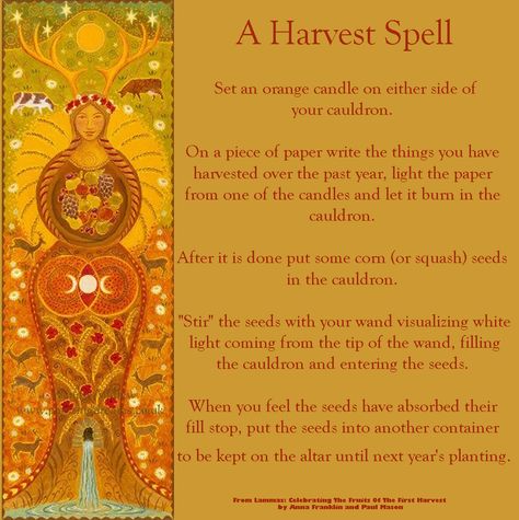 Lammas Harvest Spell. Witch's Calendar, Native Spirituality, Solar Magic, Wiccan Holidays, Lammas Lughnasadh, Witches Wheel, Occult Knowledge, Sacred Fire, Harvest Celebration