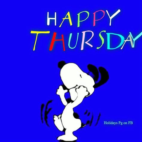 Snoopy Happy Thursday, Snoopy Thursday, Snoopy Funny, Glad Tidings, Flying Ace, Snoop Dog, Good Morning Everyone, Peanuts Gang, Good Morning Good Night