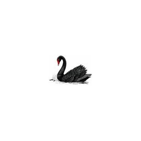 Black Swan Tattoo, Simple Unique Tattoos, Swan Heart, Black Swan Movie, Swan Drawing, Swan Tattoo, Swan Wallpaper, Australian Icons, Tatoo Inspiration