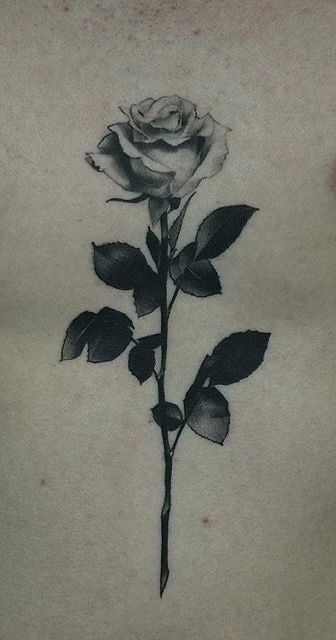 Wilted Roses Tattoo, Antique Rose Tattoo, Withering Rose Tattoo, Rose Leaf Tattoo, Rose Chest Tattoo, Traditional Panther Tattoo, Body Tattoo Design, Mystical Tattoos, Rose Tattoos For Men