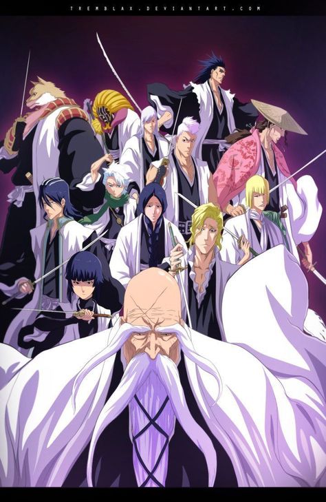 Bleach Captains, Bleach Figures, Ichigo Kurosaki Wallpaper, Gotei 13, Kuchiki Byakuya, Rukia Bleach, Byakuya Kuchiki, Toshiro Hitsugaya, Bleach Anime Art