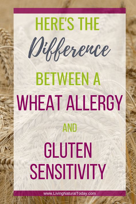 Do you know think you might have a wheat allergy? In this post, learn what the symptoms of a wheat allergy are and the difference between a wheat allergy and wheat sensitivity. #wheatsensitivity| #wheatallergysymptoms | #wheatsensitivitysymptoms | #wheatallergy Wheat Allergy Diet, Wheat Allergy Symptoms, Wheat Allergy, Soy Allergy, Fat Loss Tips, Common Food Allergies, Gluten Allergy, Wheat Belly, Fat Loss Diet Plan