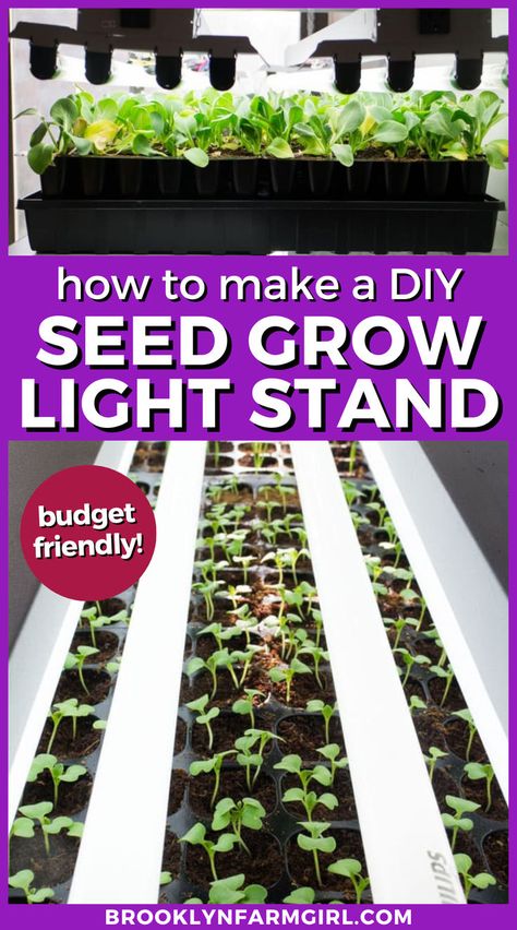 seedlings growing under a DIY light stand Make Instead Of Buying, Grow Light Stand, Plant Hacks, Vegetable Seeds, Light Stand, Garden Girls, Plant Lighting, Grow Light, Diy Garden Projects