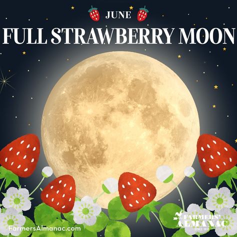 Farmers' Almanac on Instagram: “Look up!☝️ June’s full “Strawberry Moon” will reach peak illumination at 2:40pm EDT today! 🌕 Why is it called the “Strawberry Moon?” 🍓…” Full Moon June, Full Strawberry Moon, Full Moon Names, Moon Date, Moon Names, Thank You Happy Birthday, Moon Phase Calendar, Strawberry Moon, Happy June