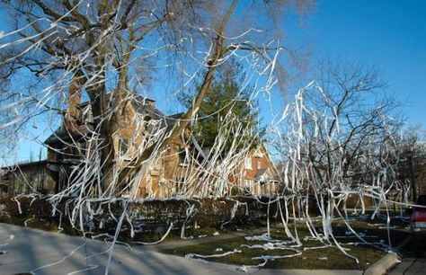 TPing houses: oldie but goodie Mischief Night, Ding Dong Ditch, Funny April Fools Pranks, Walking Path, April Fools Pranks, Guy Fawkes, Summer Birthday Party, Paper House, Mischief Managed