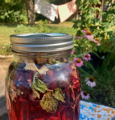 Feeling lazy but still want something fresh and homemade to drink? Let sun do the work! This sun tea recipe is great for an off grid treat or those who are conscious about electricity consumption. The combination of rose and hibiscus with a hint of lemon balm will make your mouth happy and your body thank you ! Sun Tea Recipe, Sun Tea Recipes, Sun Tea Jar, Lemon Jam, Hawthorn Berries, Gallon Mason Jars, Soap Studio, Sun Tea, Feeling Lazy