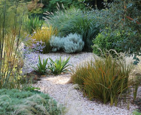 Andy Sturgeon, Garden Landscape Ideas, Garden Landscaping Design, Gravel Gardens, Garden Landscaping Design Ideas, Beach House Garden, Mediterranean Garden Design, Renovated House, Landscaping Rock