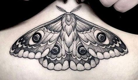 Moth Tattoo Wings Down, Bogong Moth Tattoo, Neck Moth Tattoo, Black And Gray Moth Tattoo, Moth Tattoo Eyes, Black And Red Moth Tattoo, Moth Tattoo Underbust, Fuzzy Moth Tattoo, Moth With Eyes Tattoo