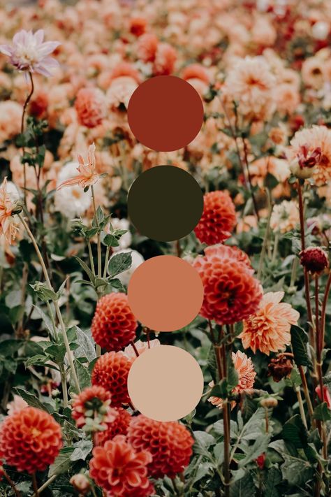 Comfy Bedroom Color Schemes, Jade And Rust Color Palette, Fall Colors Spring Wedding, Green And Rust Aesthetic, Dark Green And Peach Color Palette, Green Orange Red Wedding, Rust Pink And Green Wedding, Green Red Color Scheme, Esthetic Color Palette