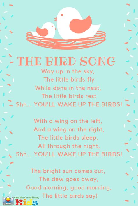 Such A Fun Action Song! Great For Incorporating Movement Rhyming Poems For Kids, Spring Songs, Kids Songs With Actions, Birds Theme, Birds For Kids, Library Programming, Circle Time Songs, Kindergarten Songs, Childrens Poems