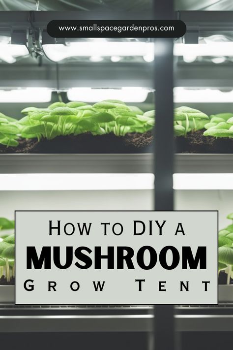 Unlock the world of home mushroom cultivation with our DIY Mushroom Grow Tent guide! Whether you're a seasoned mycophile or a beginner enthusiast, this step-by-step tutorial will show you how to create your own grow tent for cultivating delicious fungi right in your home. From selecting the right materials to setting up the perfect growing environment, we've got you covered every step of the way. #MushroomGrow #DIYGardening #GrowTentTips #MushroomCultivation #HomegrownMushrooms #UrbanGardening Mushroom Grow Tent, Mushroom Grow Box Diy, Grow Mushrooms From Scraps, How To Grow Mushrooms At Home, Shroom Growing, Mushroom Farming At Home, Diy Mushroom Growing, Mushroom Grow Room, Mushroom Greenhouse