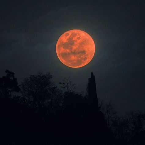 Spiritual Meaning of the Blood Moon Blood Moon Spiritual Meaning, Corn Moon, Sturgeon Moon, Next Full Moon, Wolf Moon, Moon Rise, Creatures Of The Night, Super Moon, Lunar Eclipse