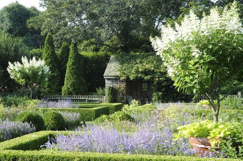 Ina's garden w boxwoods, Arborvitae, Russian sage, standard tardiva hydrangeas Ina Garden, Hampton Garden, Formal Garden Design, Russian Sage, Photo Pinterest, Barefoot Contessa, Formal Garden, Ground Cover Plants, Garden Tours