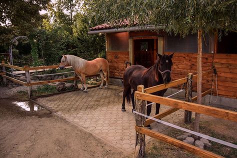 Small Horse Paddock, Horse Tie Up Area, Paddock Paradise Layout, Small Paddock, Paddock Paradise Ideas, Equine Stables, Small Horse Barns, Horse Pens, Horse Paddock