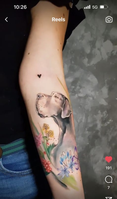 Great Dane Memorial Tattoo, Multiple Dogs Tattoo, Dog And Girl Tattoo, Dog Color Tattoo, Great Dane Tattoo Ideas, Great Dane Tattoo, Tattoo Bull, Cool Animal Tattoos, Cute Halloween Tattoos