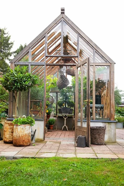 Erz & Co. Greenhouse Shed, Build A Greenhouse, Backyard Greenhouse, Small Greenhouse, Greenhouse Plans, Garden Area, Diy Greenhouse, Garden Greenhouse, Greenhouse Gardening