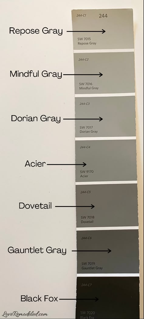 Mindful Gray Paint Color Strip Warm Dark Gray Paint Color, Warm Gray Paint Color, Moody Basement, Dark Gray Paint, Paint 2023, Dark Gray Paint Colors, Basement Den, Accent Wall Paint Colors, Mindful Gray Sherwin Williams