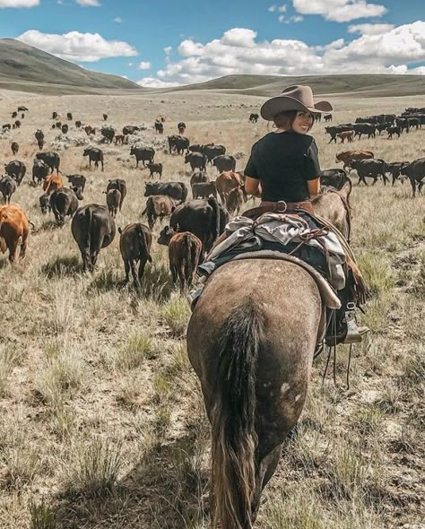 #cowgirl #cowgirlfashion #cowgirlhat #western #cattle not my photo. for reference only. Foto Cowgirl, Country Backgrounds, Cowgirl Pictures, Country Girl Life, Western Photography, Cowgirl And Horse, Rodeo Life, Looks Country, Western Life