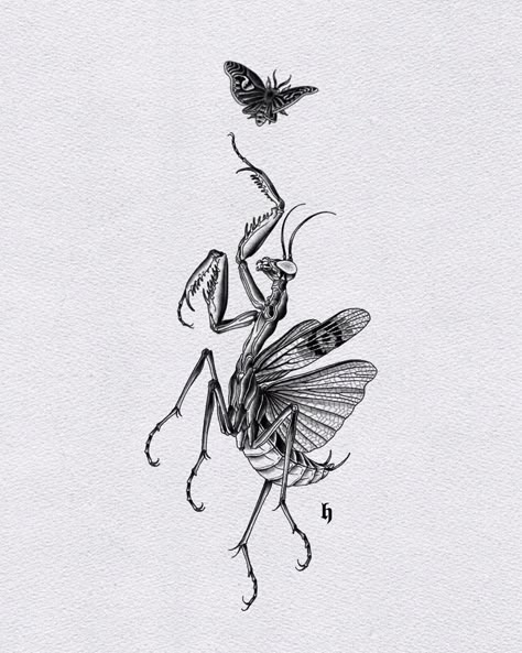 Fine Line Big Tattoo, Bugs Tattoo Insects, Cute Insect Tattoos, Praymantis Tattoos, Mantis Tattoo Design, Praying Mantis Tattoo, Insect Drawings, Creature Tattoo, Mantis Tattoo