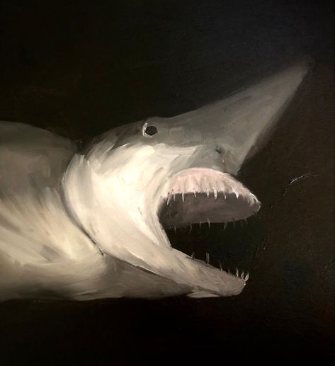 Scary Sharks Creepy, Goblin Shark Photography, Goblin Shark Art, Shark Scary, Goblin Shark Drawing, Shark Brain, Sharks Scary, Goblin Shark, Shark Drawing