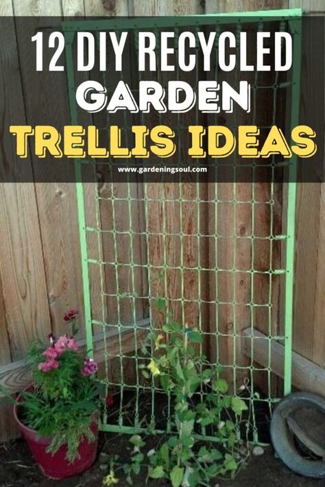 12 DIY Recycled Garden Trellis Ideas Cheap Trellis, Vines Trellis, Outdoor Trellis Ideas, Rustic Trellis, Bean Trellis, Garden Trellis Ideas, Pea Trellis, Clematis Trellis, Garden Ideas To Make