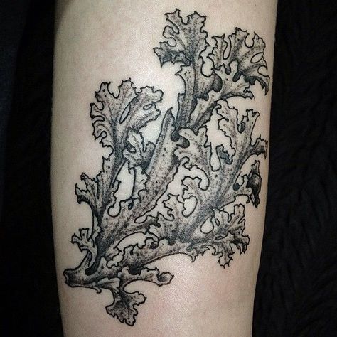 Moss Tattoo, Creature Tattoo, Island Tattoo, Army Tattoos, Forest Tattoos, Ink Inspiration, Ink Blot, Tattoo Inspo, Tattoo Style