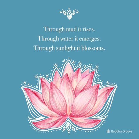 Lotus Flower Meaning, Lotus Flower Painting, Buddha Groove, Lotus Flower Art, Flower Meanings, Lotus Tattoo, Pink Lotus, Lotus Flowers, The Lotus