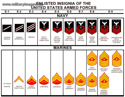 US Navy Enlisted Ranks | MilitaryImages.Net Us Navy Enlisted Ranks, Navy Enlisted Ranks, Navy Officer Ranks, Navy Ranks, Marine Corps Ranks, Navy Chief Petty Officer, Gunnery Sergeant, Marine Officer, Army Ranks