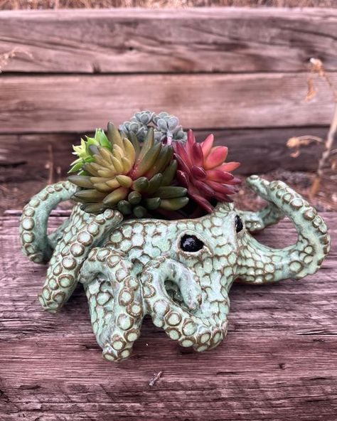 Jane | Artist on Instagram: "Oh my gosh this octopus planter makes me swoon! 4 new hand built octopus planters are in the kiln. I can’t wait to see the results 🥰 #ceramics #pottery #octopusplanter #octopuslove #inspiredbyanimals #whimsicalplanters" Whimsical Pottery, Ceramic Octopus, Animal Pottery, Clay Octopus, Octopus Pottery, Pottery Octopus, Octopus Pottery Ideas, Pottery Sea Creatures, Octopus Ceramics