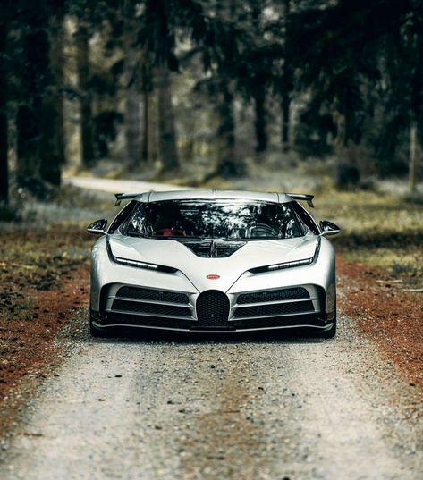 Road In The Woods, Bugatti Centodieci, Endurance Racing, Grand Prix Cars, High End Cars, Into The Forest, Cool Car Pictures, High Performance Cars, Bugatti Cars