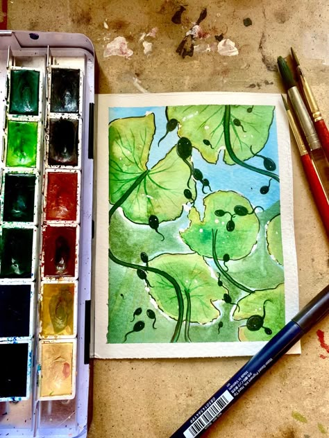 Lily Pads Illustration, Lilypads Art, Tadpole Illustration, Lilypad Watercolor, Tadpole Drawing, Tadpole Art, Lily Pad Watercolor, Lilypad Drawing, Lilypad Painting