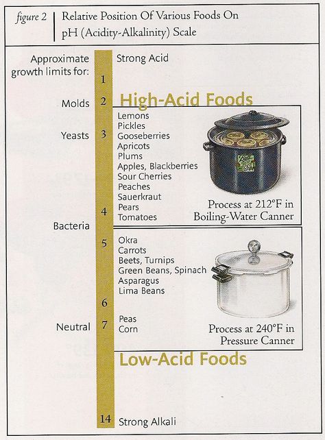 pH levels Canning Chart, Dehydrated Recipes, Homesteading Hacks, Diy Homesteading, Canning Water, High Acid Foods, Preserving Vegetables, Cooking Items, Homestead Recipes