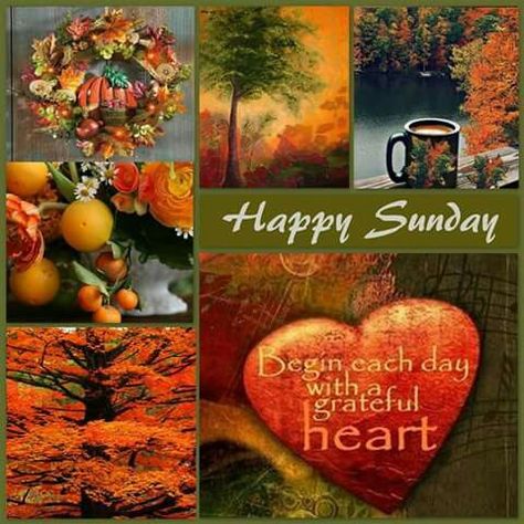 Sunday Blessings Inspiration, Winter Sunday, Autumn Greetings, Nina Brown, Autumn Pictures, Animated Pics, Happy Sunday Morning, Morning Pic, Sunday Morning Quotes