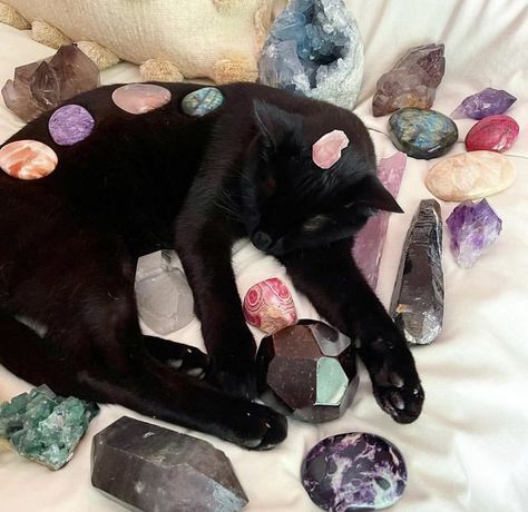 Black Cat With Crystals, Cats With Crystals, Cat With Crystals, Cat Emoji, Crystal Vibes, Crystal Aesthetic, Pretty Rocks, A Black Cat, Sendai