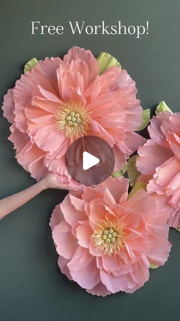 liagriffith on February 28, 2024: "✂️ Free Workshop Alert! ✂️ Want to learn how to make this Jumbo Peony from crepe paper? 🌸 Comment JUMBO, and I will send you a link to the free video workshop and the template.". How To Make Large Crepe Paper Flowers, Crepe Flowers Diy Giant, Crepe Paper Peony Tutorial, Crepe Paper Large Flowers, Crepe Peony, Crepe Paper Decorations, Giant Flowers Diy, Free Paper Flower Templates, Crepe Flowers