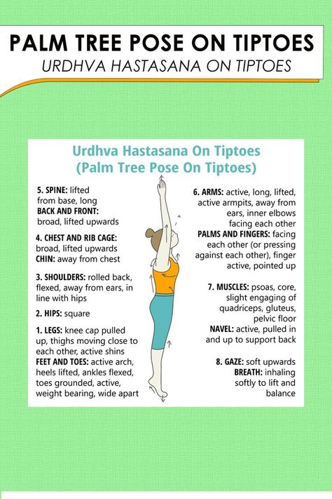 Learn and teach your students about Palm Tree Pose On Tiptoes Level | Beginner Position | Standing Type | Stretch , Strength , Balance Palm Tree Pose On Tiptoes is considered a base pose as palm tree pose on tiptoes variations can be derived from this pose. It benefits the muscles of the Arms and Shoulders, Upper Back, Feet and Ankles, Hamstrings. #tummeeyoga #yogaapp #yogasequencebuilder #yogaexercise #yogalessons #yogaseries #yogaasana Yoga Goals, Yoga App, Yoga Lessons, Arm Muscles, Tree Pose, Breathing Techniques, Yoga Postures, Yoga Pose, Yoga Sequences