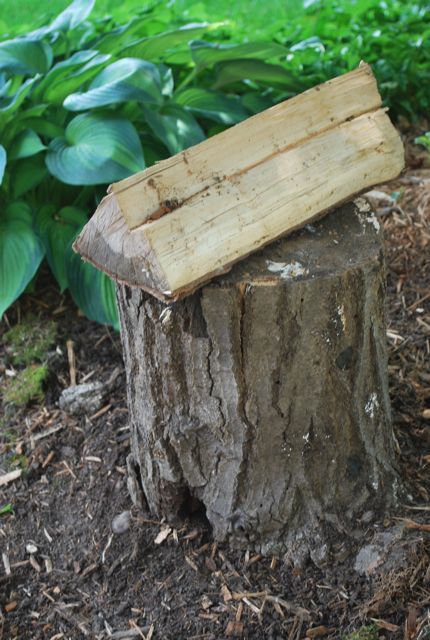 Tree Stump Fairy Garden Ideas, Diy Fairy House Roof Tree Stumps, Tree Stump Ideas Garden Fairy Houses Gnome Door, Gnome House Diy Tree Stump, Fairy Garden Houses Tree Trunks, Fairy Stump House, Tree Trunk Fairy House, Tree Stump Fairy House Diy Ideas, Gnome Houses From Tree Stumps