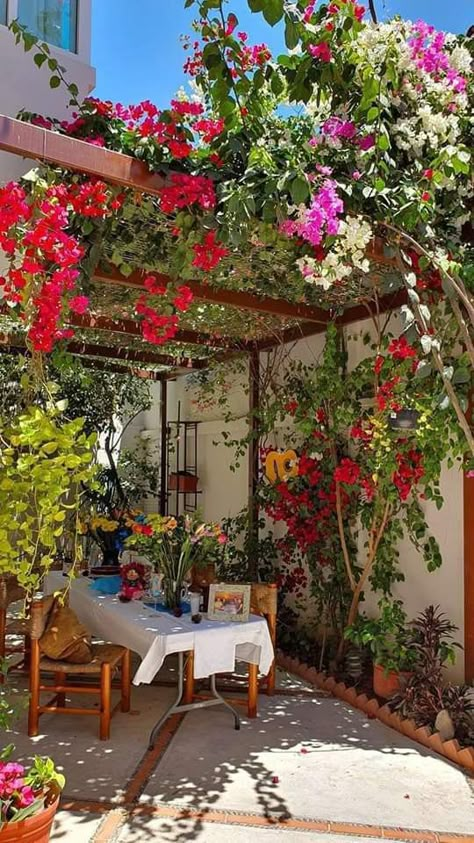 Spanish Inspired Backyard, Balkon Decor, Home Garden Design, Terrace Design, Outdoor Decor Backyard, Plants And Flowers, Balcony Design, Bougainvillea, Dream House Exterior