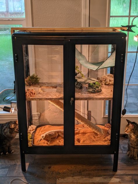 I saw someone post something similar. Here's my version using an IKEA Fabrikor cabinet. I built screens from a screen kit I picked up from Lowes for the sides instead of the glass panels. Used scrap wood and peel & stick flooring for the shelf. Ladder is just a piece of scrap wood wrapped with rope. Ikea Bearded Dragon Enclosure, Diy Bearded Dragon Enclosure Furniture, Homemade Reptile Enclosure, Ikea Reptile Enclosure, Reptile Organization, Diy Lizard Enclosure, Diy Gecko Enclosure, Beardie Enclosure Ideas, Lizard Tank Ideas