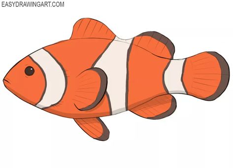 How to Draw a Clownfish - Easy Drawing Art Clown Fish Sketch, Drawing Ideas Clown, Clown Fish Drawing, Clownfish Drawing, Ocean Kingdom, Assignment Ideas, Fish Outline, Fish Sketch, Baby Otter