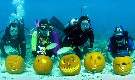 Underwater Pumpkin Carving Contest Added To Our Event Calendar Coastal Halloween, Halloween Destinations, Pumpkin Carving Contest, Themed Halloween Costumes, Carved Pumpkins, Pumpkin Designs, Halloween Traditions, Halloween Pumpkins Carvings, Coastal Life