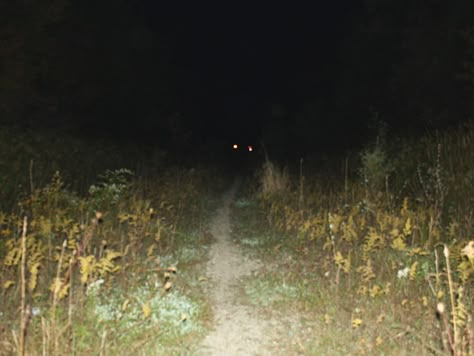 Untitled | ghost girl | Flickr Midwestern Gothic, Midwest Gothic, The Magnus Archives, Dreamcore Weirdcore, Southern Gothic, Gothic Aesthetic, Liminal Spaces, Small Town, In The Woods