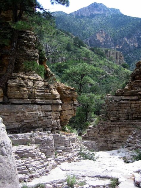 Guadalupe National Park Texas, Guadalupe National Park, Guadalupe Peak, Travel New Mexico, Explore Texas, Guadalupe Mountains National Park, Travel Texas, Guadalupe Mountains, Texas Parks