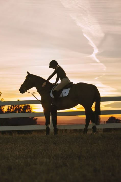 The Back, Horses, White