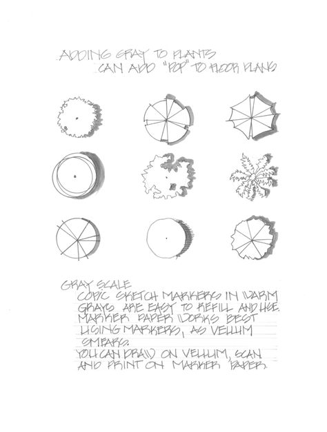 Plants in a Floor Plan Lighting Symbols, Hand Drafting, Engineering Lettering, Floor Plan Symbols, Plant Interior, Architecture Symbols, Hand Rendering, Artist Interior, Plant House