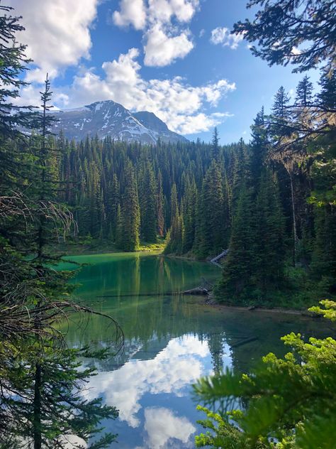 British Columbia Forest, British Columbia Summer, British Columbia Aesthetic, Aleksandar Mitrovic, British Columbia Mountains, Columbia Country, Crescent Lake, Yoho National Park, Pretty Landscapes