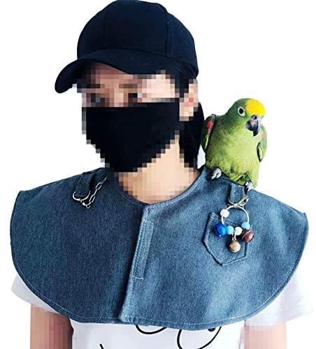 Amazon.com : Parrot Anti-Scratch Shoulder Protector Hang Bird Anklet&Toys, Multi-Functional Pet Shoulder Pad Diaper Shawl for Small Medium Parakeets Cockatiels, Sun Conures, Macaws Love Birds, Finches Lovebird : Pet Supplies Parrot Training, Sun Conure, Arm Guard, Parrot Toys, Finches, Parakeets, Husband Shirts, Bird Supplies, Belt Design