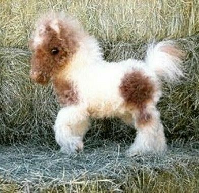 Pony Horse Cute, Horses With Fluffy Hooves, Shetland Pony Foal, Miniature Horse Foal, Baby Pony, Baby Farm Animals, Fluffy Cows, Baby Horses, Baby Animals Pictures